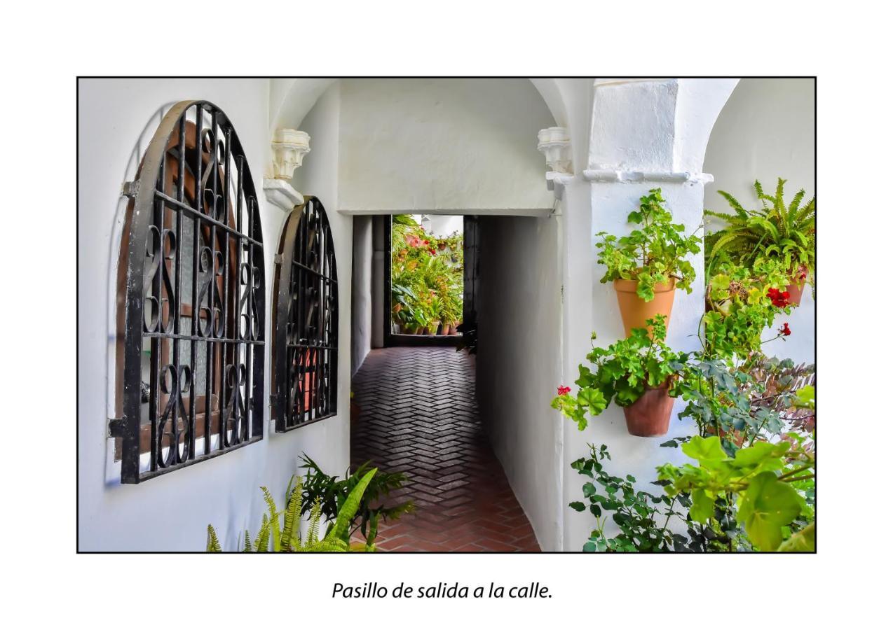 Casa Del Mayorazgo Con Plaza De Parking Privada Vejer de la Frontera Luaran gambar